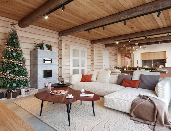 Log house project. Year 2020